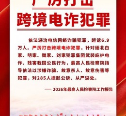 两会热词丨严厉打击跨境电诈犯罪